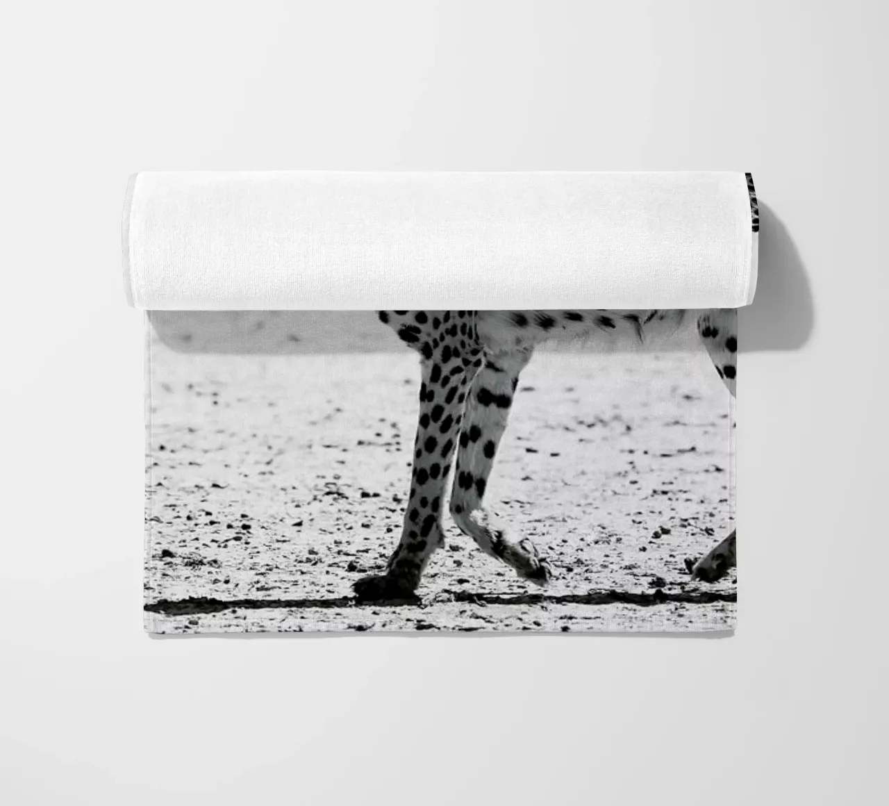 Kitty Kat 01 telo mare da Shot By Clint