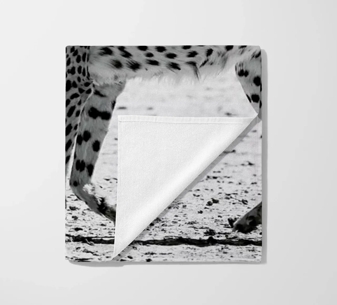 Kitty Kat 01 telo mare da Shot By Clint