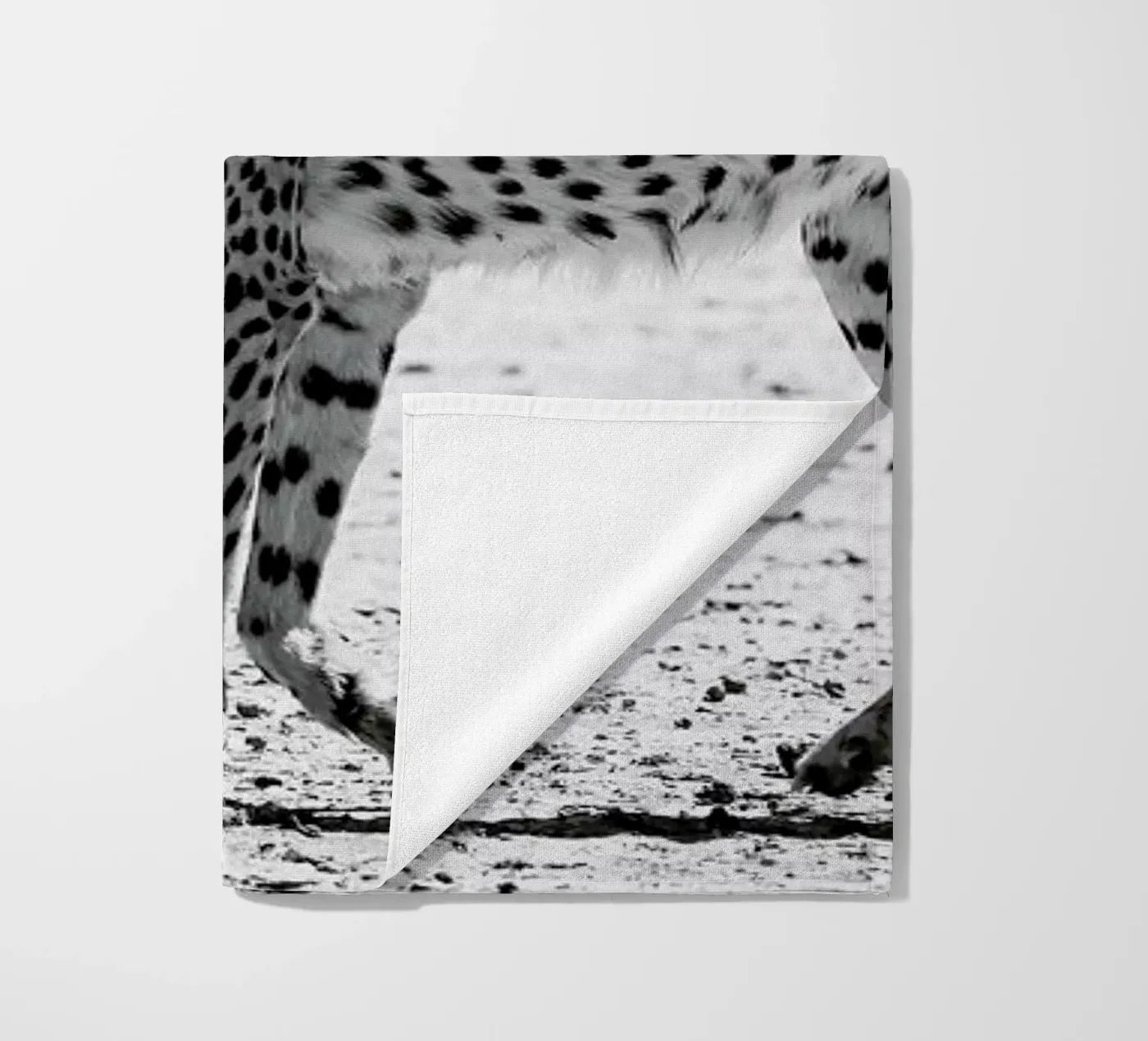 Kitty Kat 01 telo mare da Shot By Clint