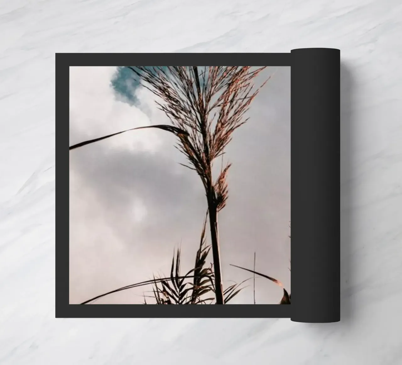 Grass II zerbino da Sebastian Hilgetag