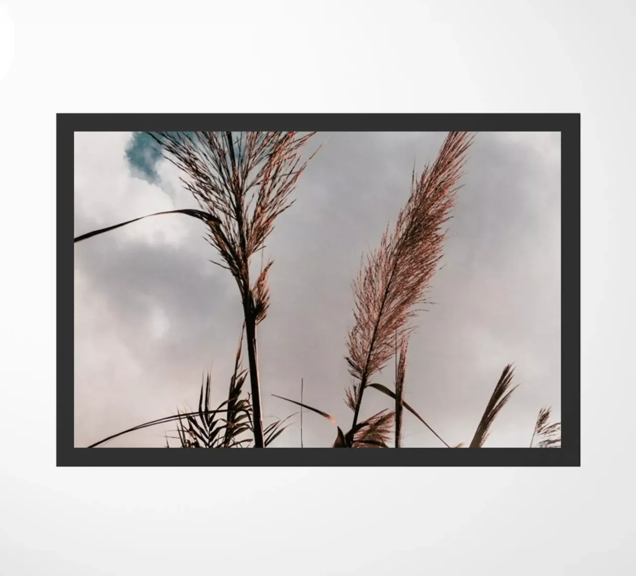 Grass II zerbino da Sebastian Hilgetag