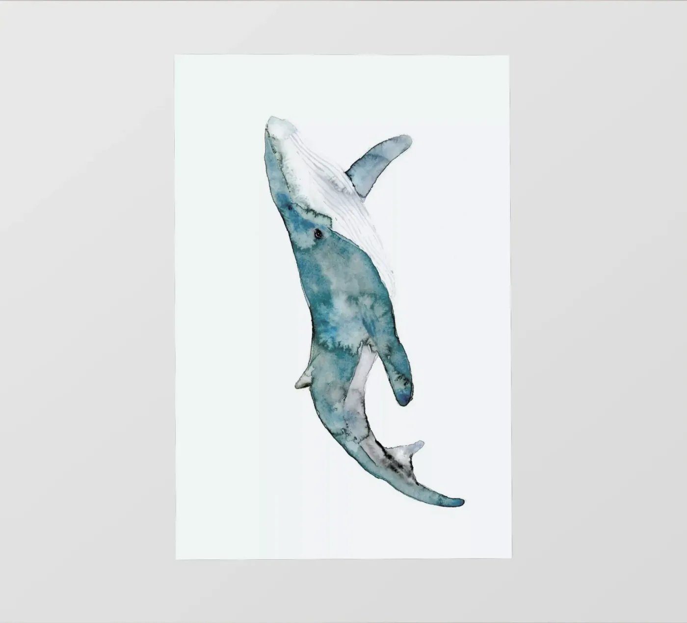 Whale pellicola backlit da Larissa van der Laan