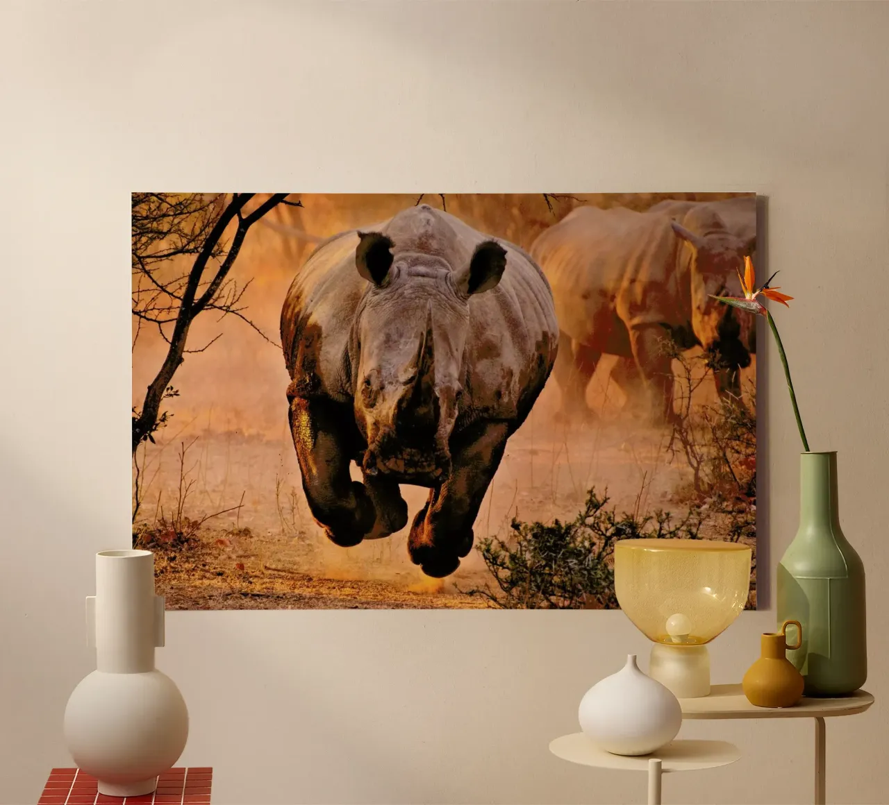 Rhino Learning to Fly - Justus Vermaak canvas with Floater frame by Pictufy