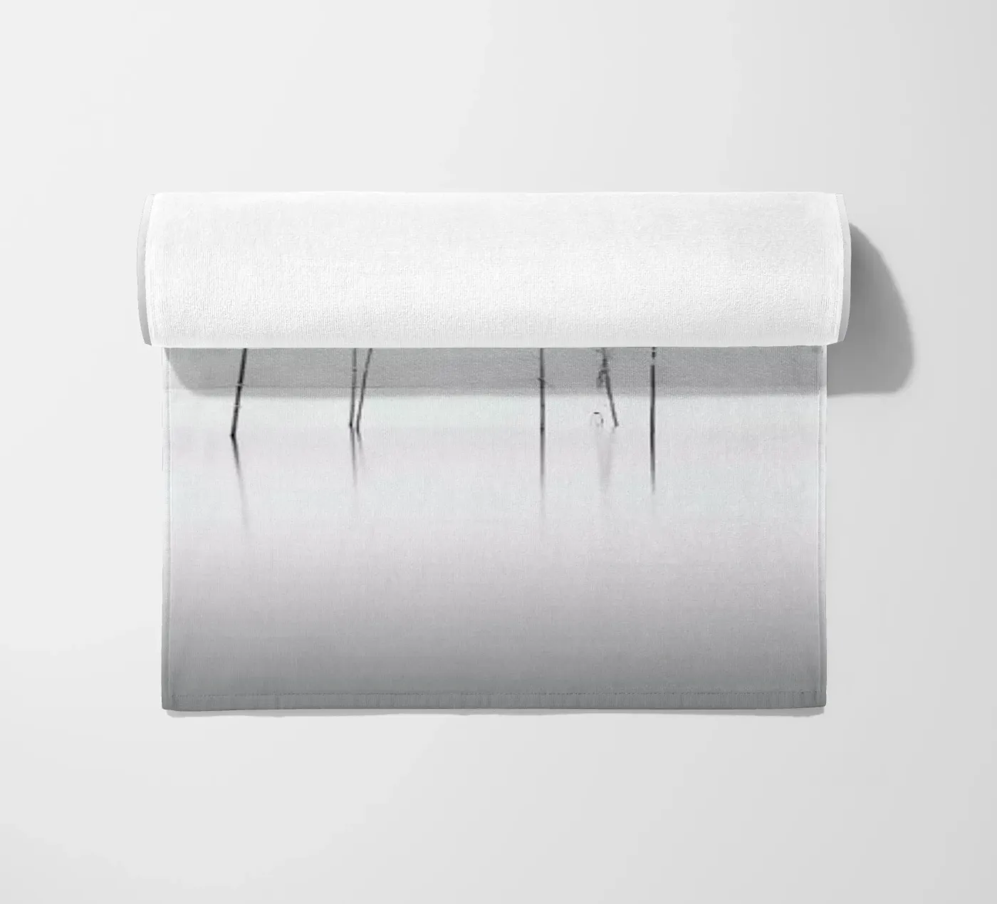 Biwa Study telo mare da Michael J. Reibert