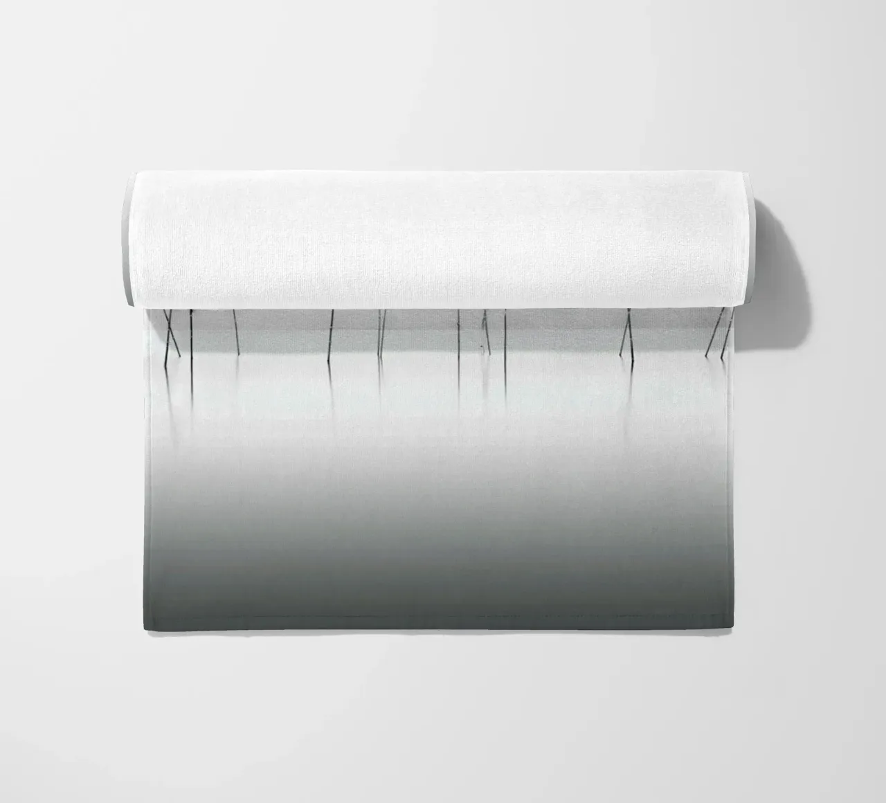 Biwa Study telo mare da Michael J. Reibert