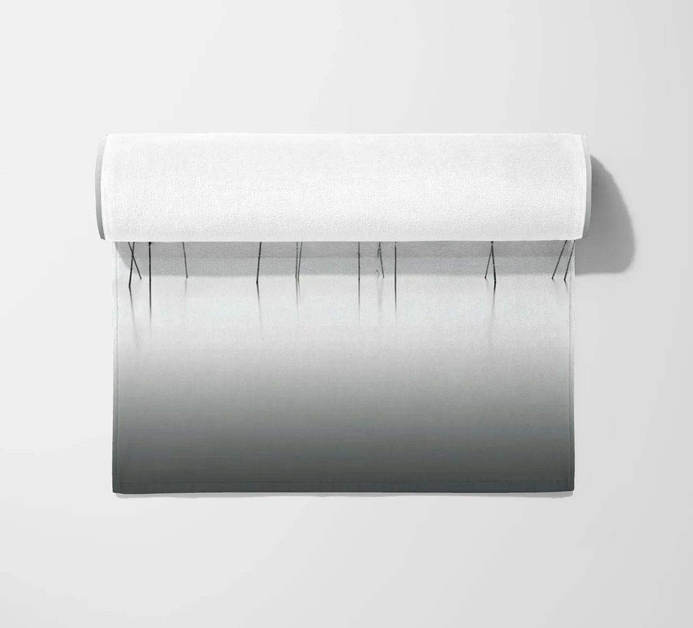 Biwa Study telo mare da Michael J. Reibert