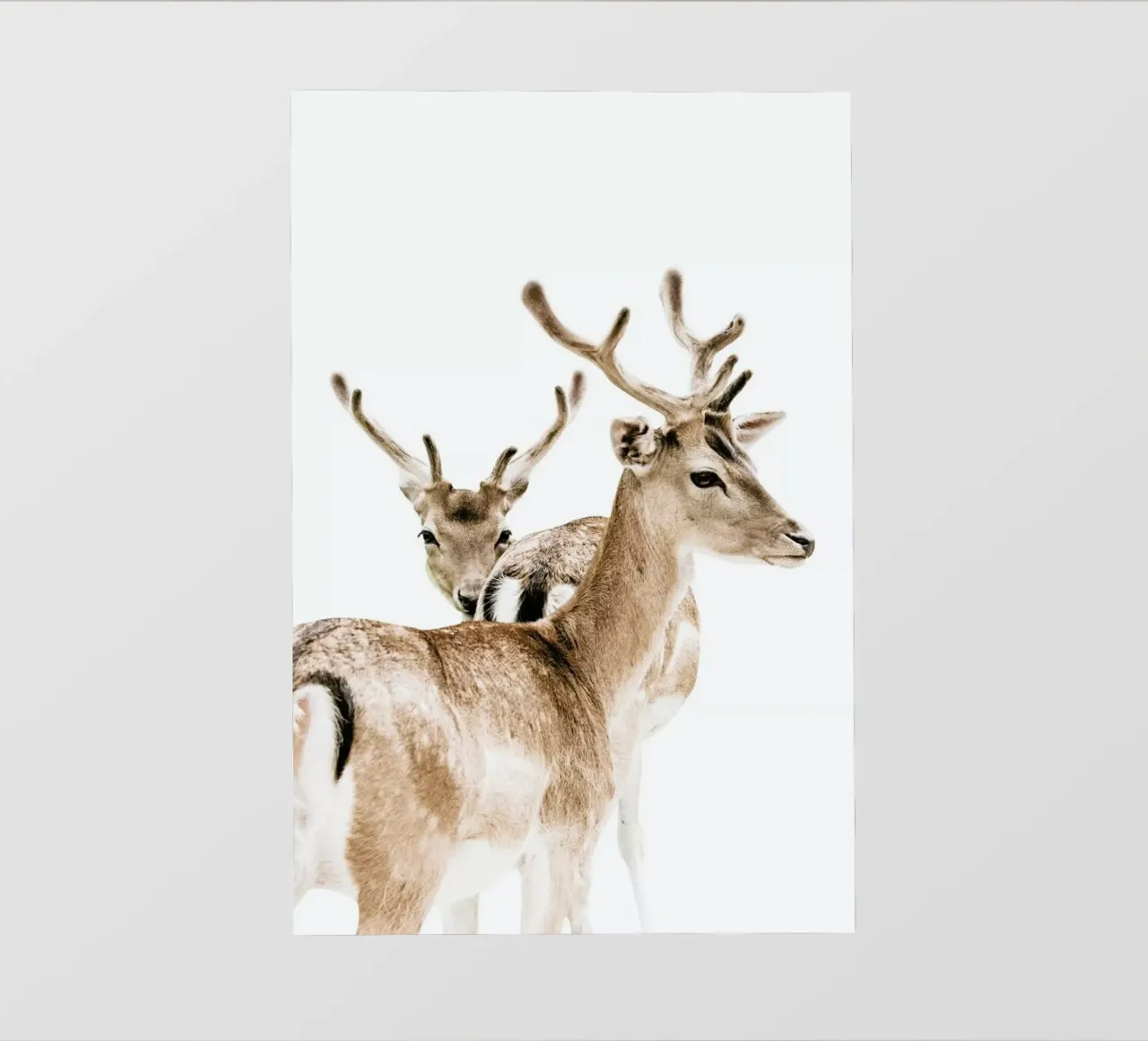 Deers II telo in pvc da Victoria Frost