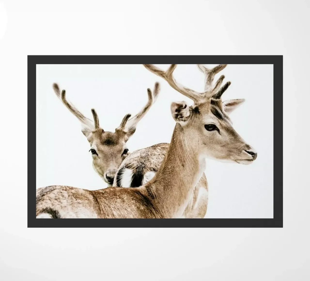 Deers II zerbino da Victoria Frost