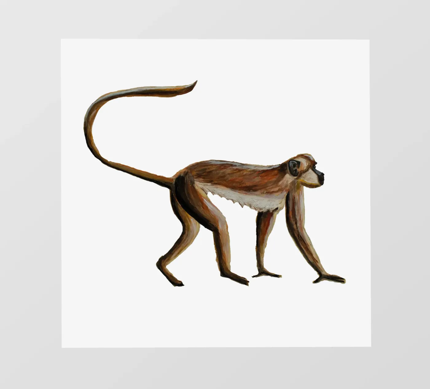 Monkey pellicola backlit da Femke Zwaan