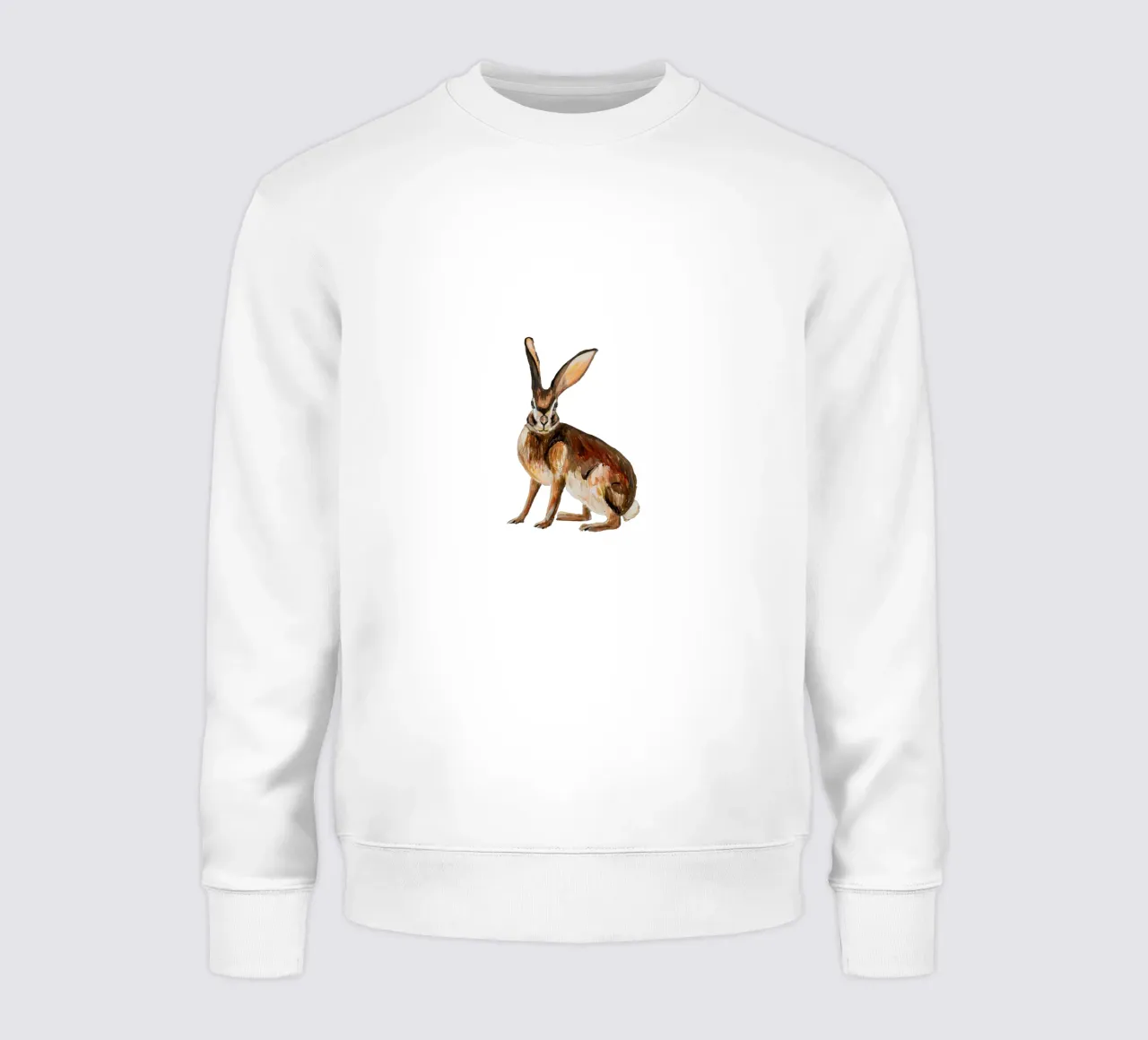 Rabbit sweatshirt by Femke Zwaan