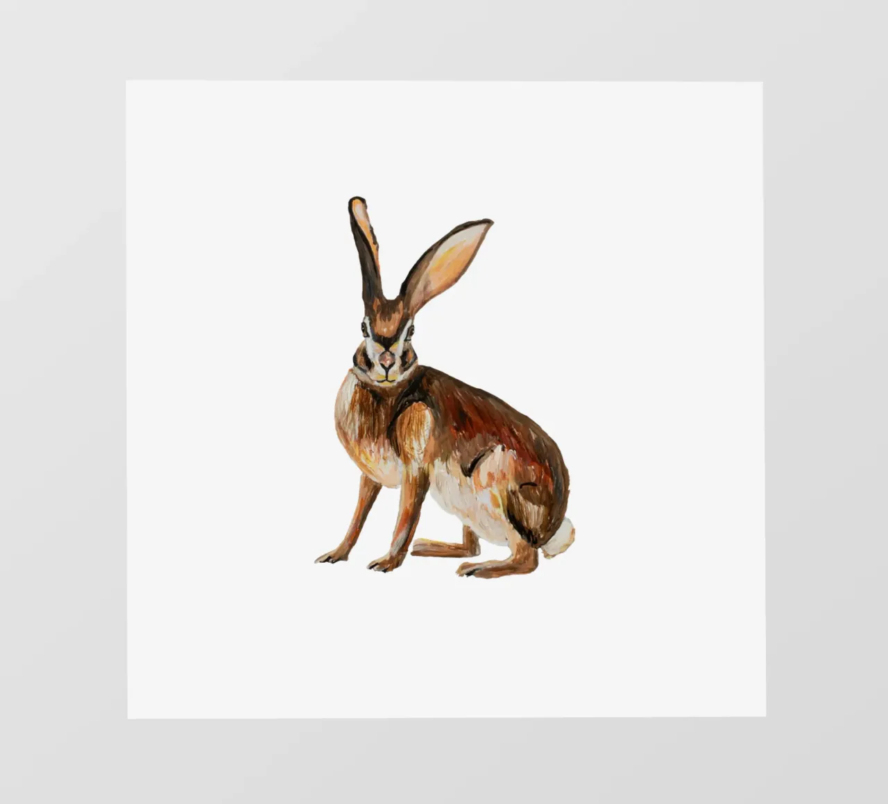 Rabbit telo in pvc da Femke Zwaan
