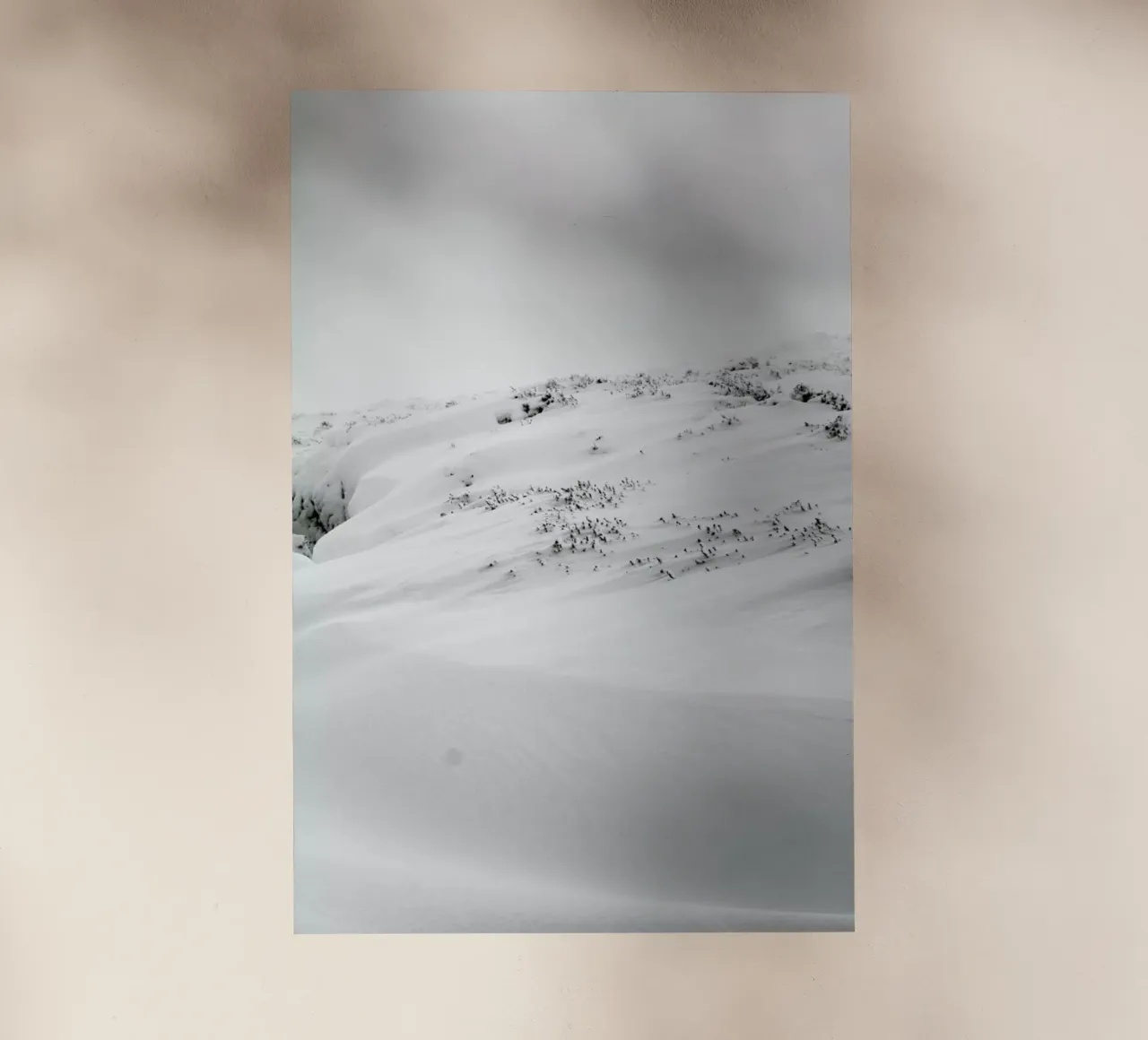 Dirft I pellicola backlit da Victoria Frost