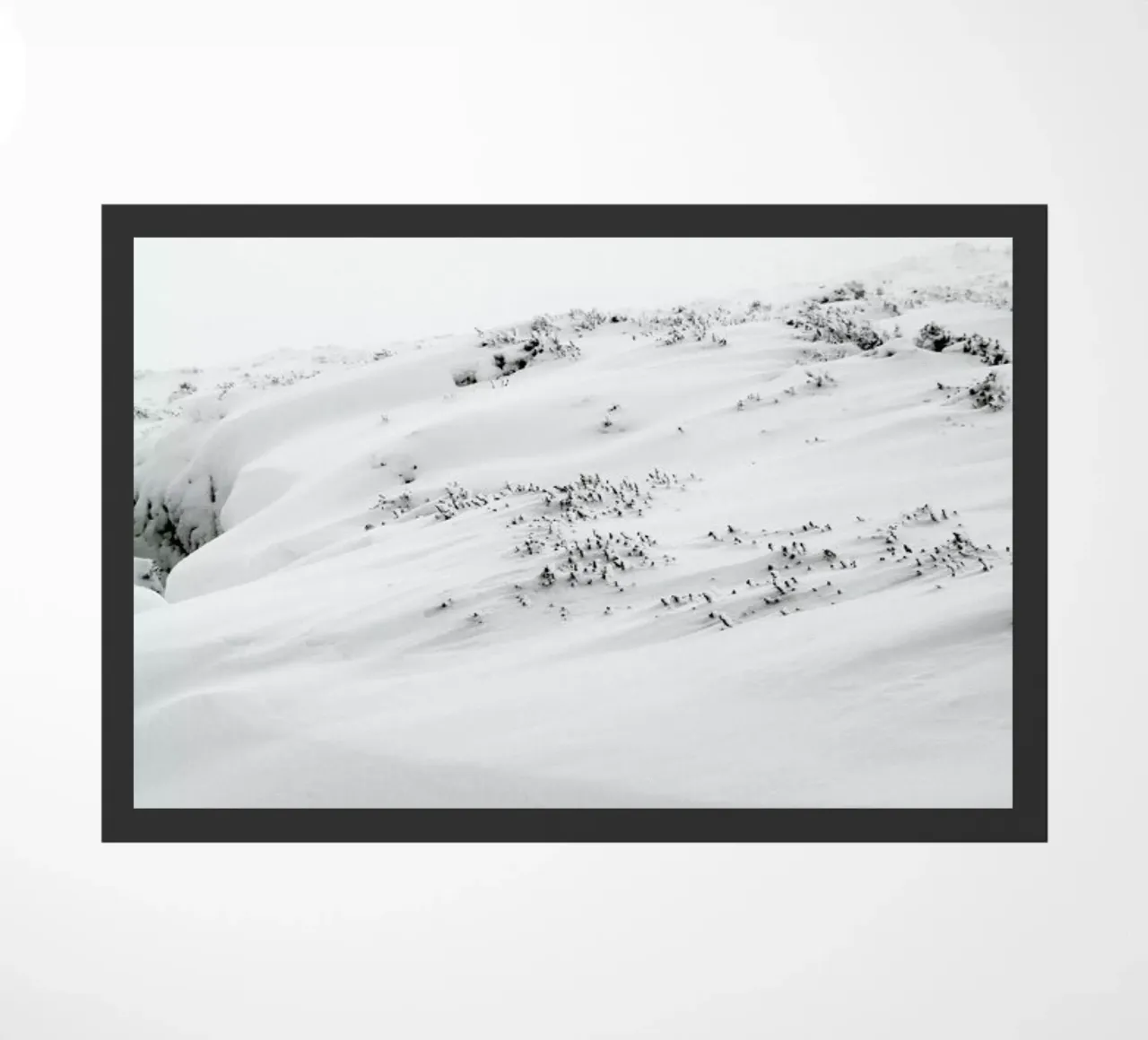 Dirft I zerbino da Victoria Frost