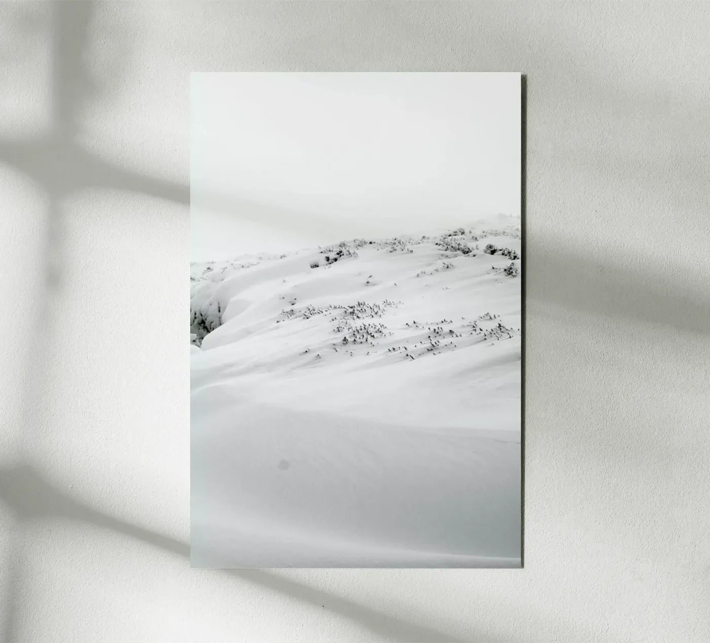 Dirft I forex plate by Victoria Frost