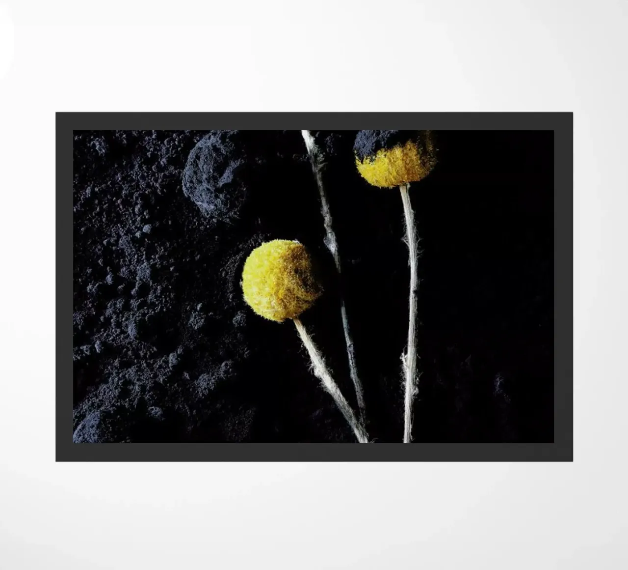 Flowers Two zerbino da neon* fotografie