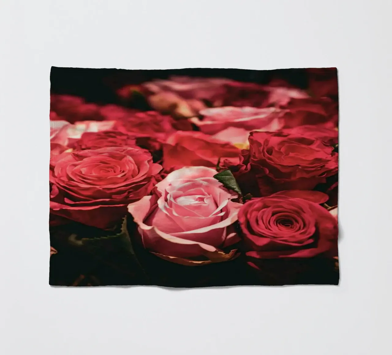 Rosen coperta in pile da Flo Klein