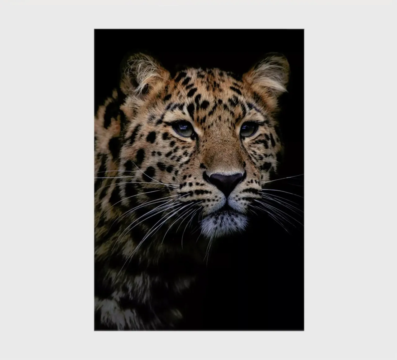 Waiting to Pounce notebook by Natural Kingdom