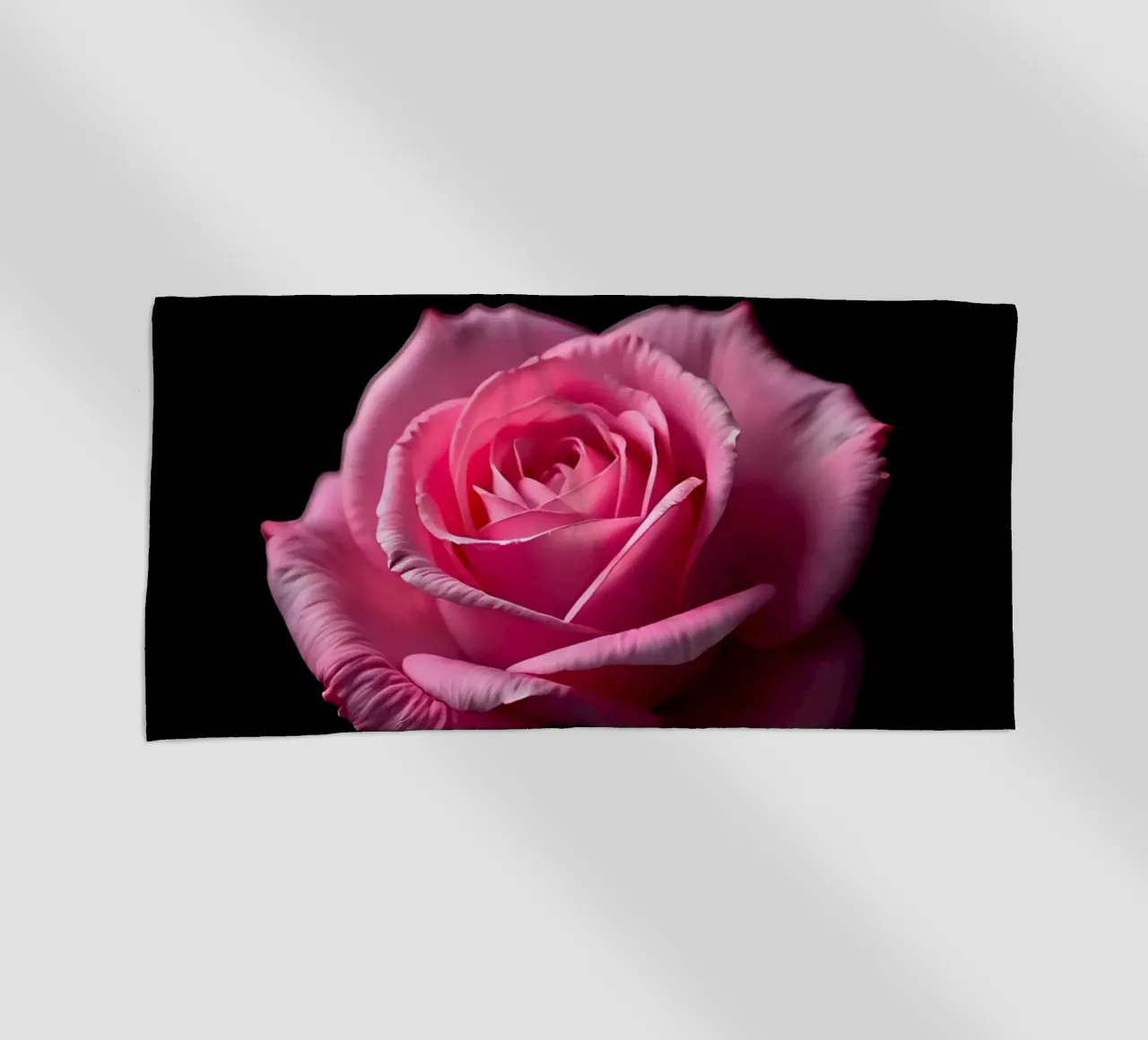 Rosa_rosa_03 telo mare da Farb- und Blütenzauber by LK