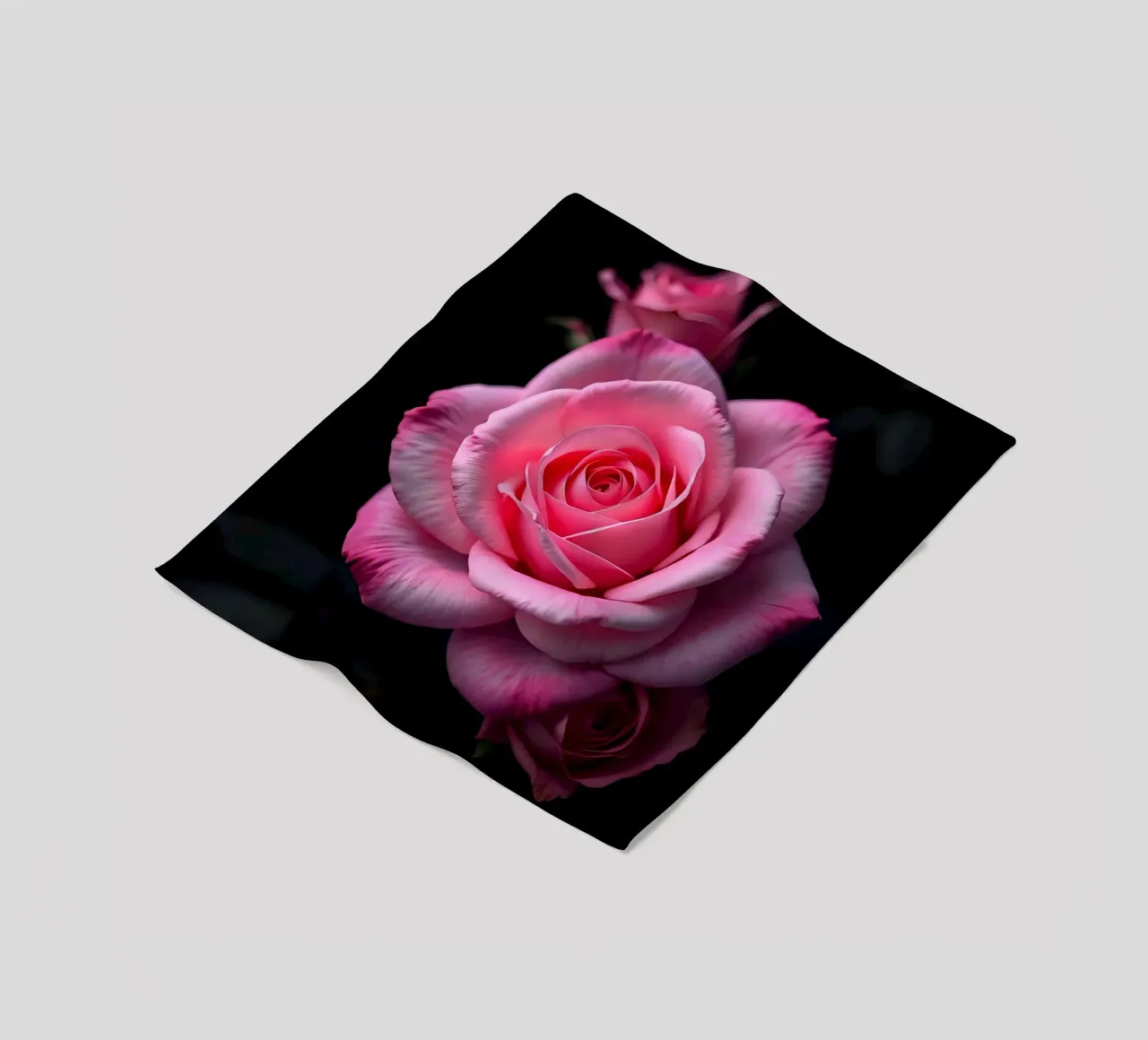 Rosa_rosa_04 coperta in pile da Farb- und Blütenzauber by LK