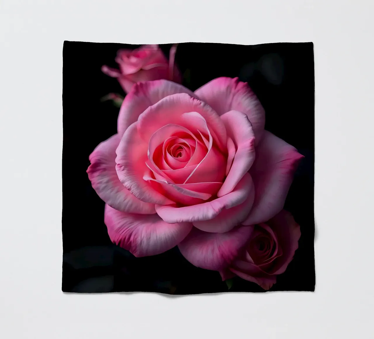 Rosa_rosa_04 coperta in pile da Farb- und Blütenzauber by LK
