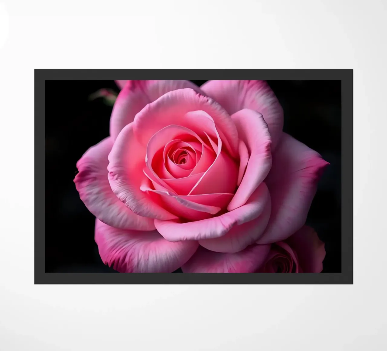 Rosa_rosa_04 zerbino da Farb- und Blütenzauber by LK