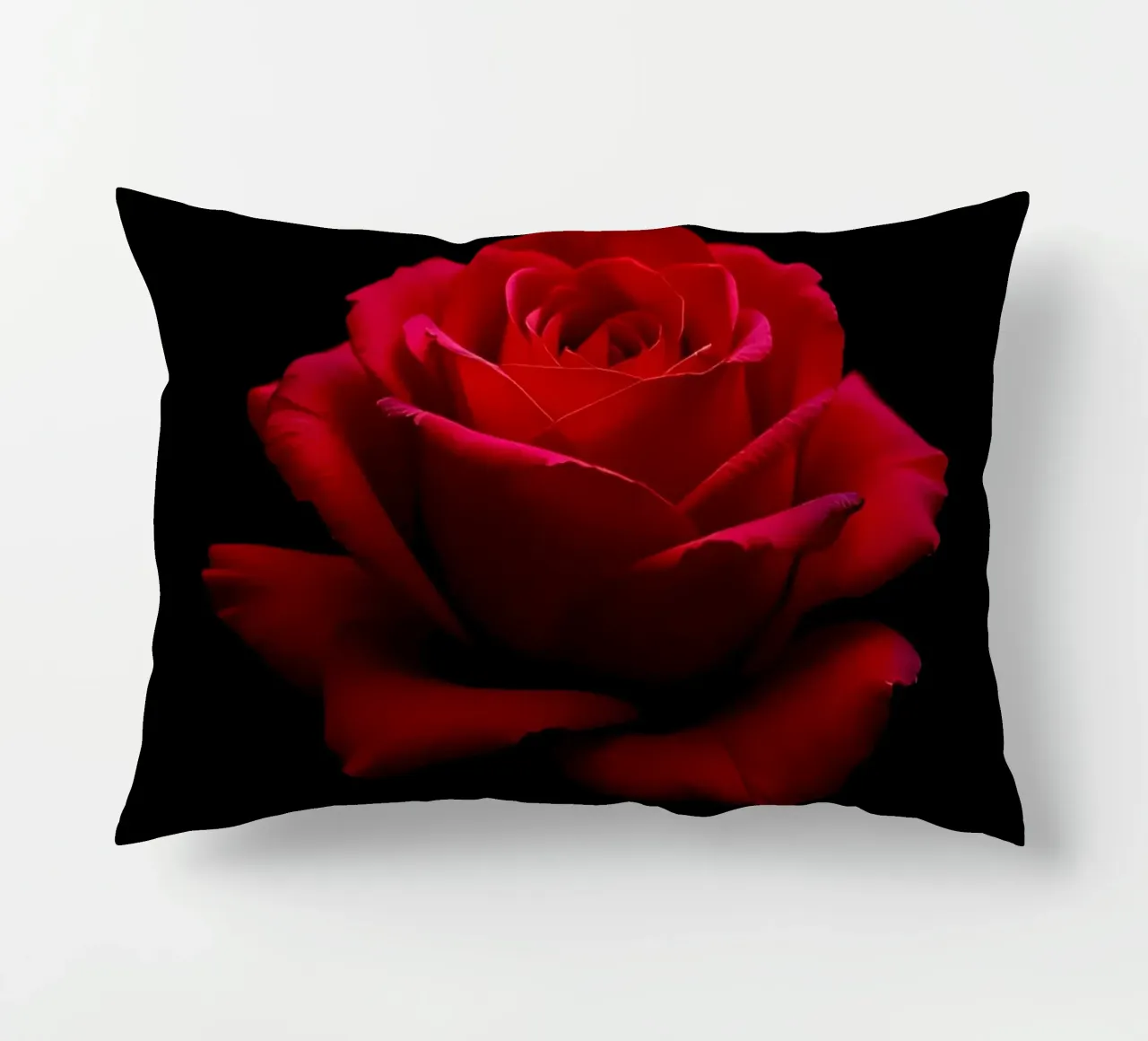 Rosa_rot_01 cuscino da Farb- und Blütenzauber by LK