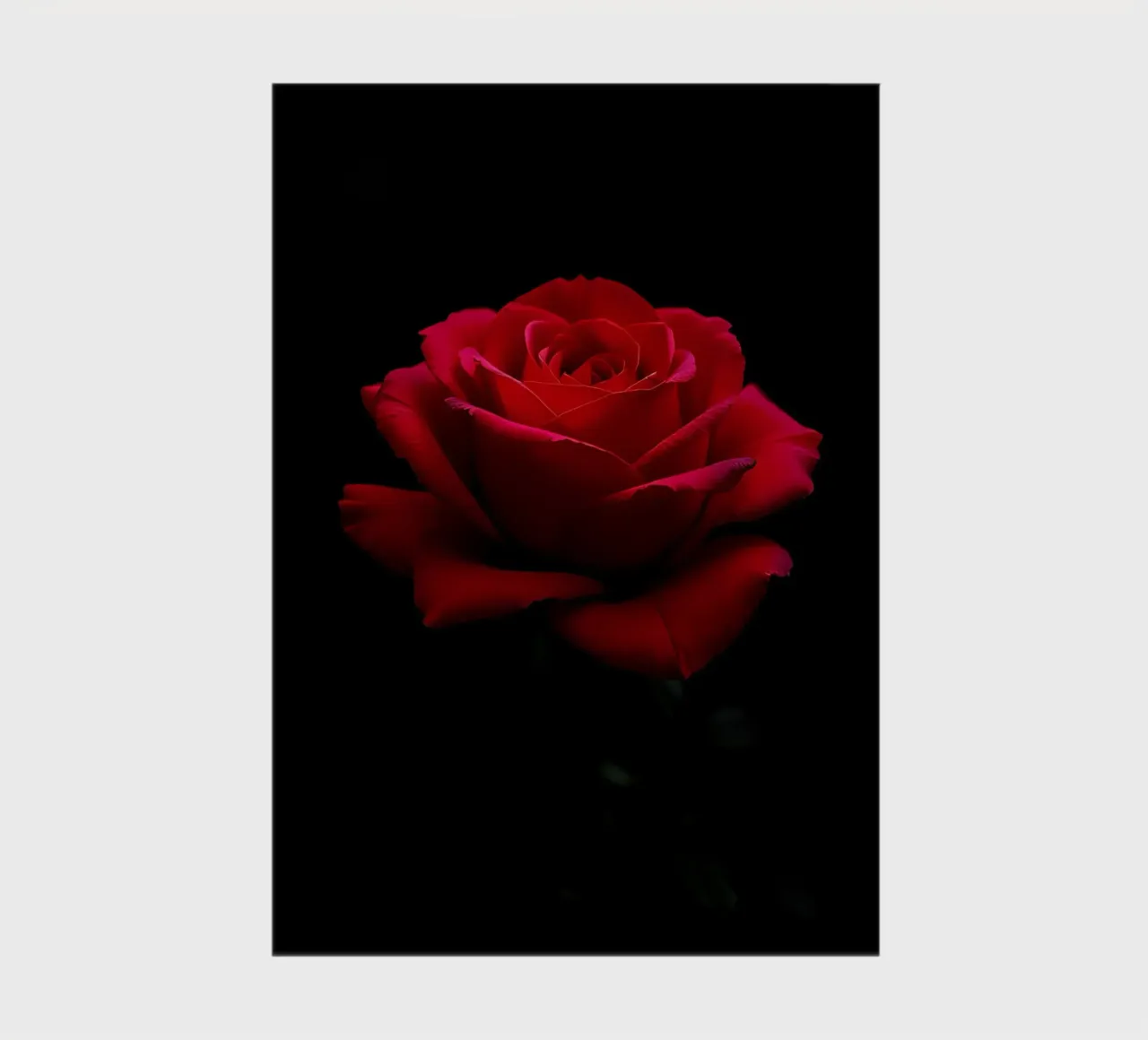 Rose_rot_01 notebook by Farb- und Blütenzauber by LK