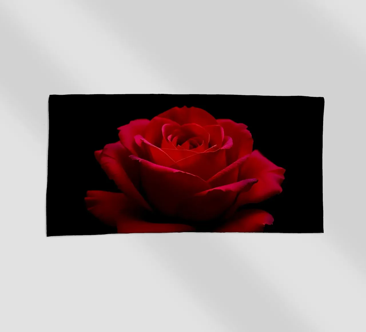 Rosa_rot_01 telo mare da Farb- und Blütenzauber by LK