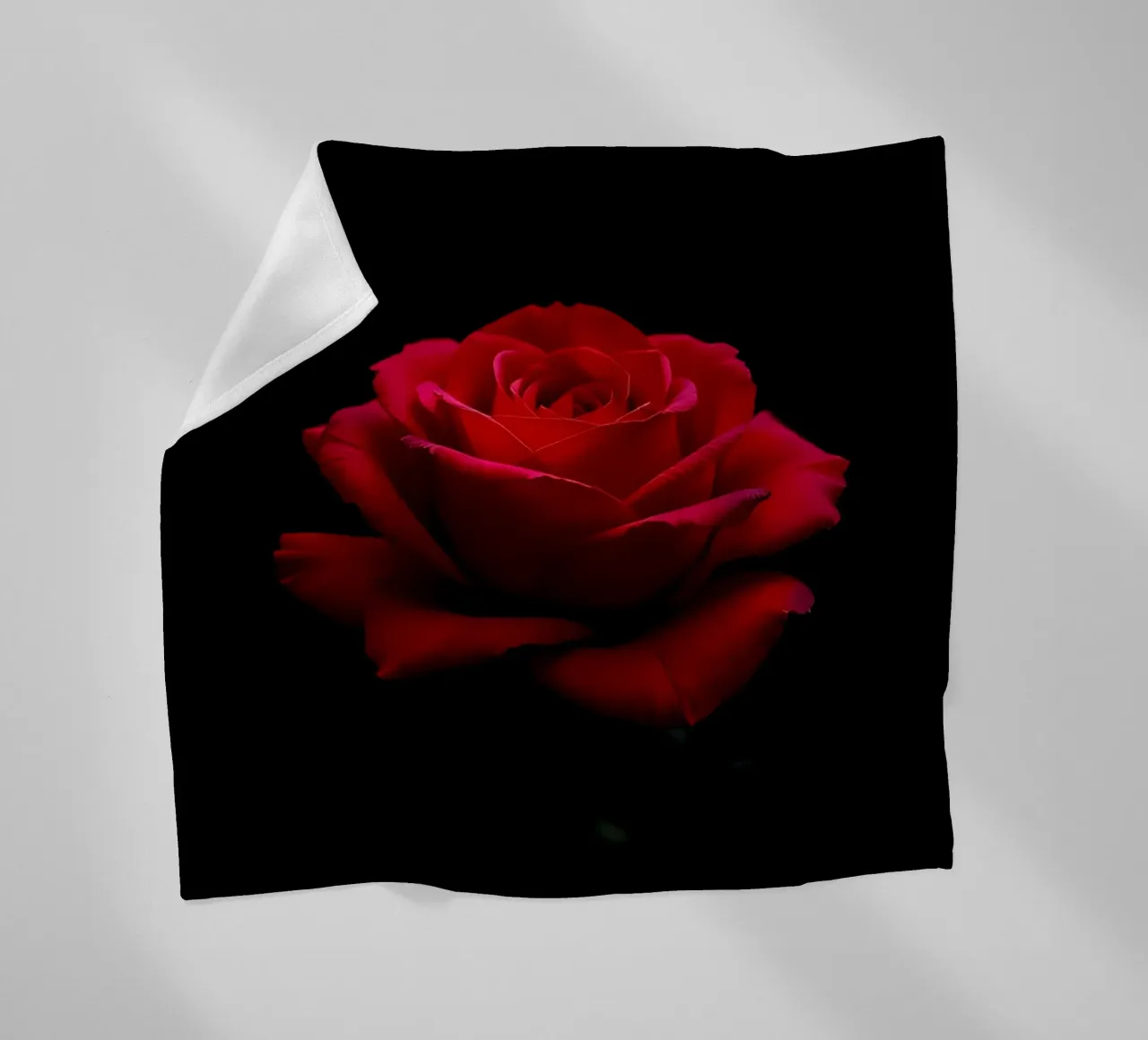 Rosa_rot_01 coperta in pile da Farb- und Blütenzauber by LK