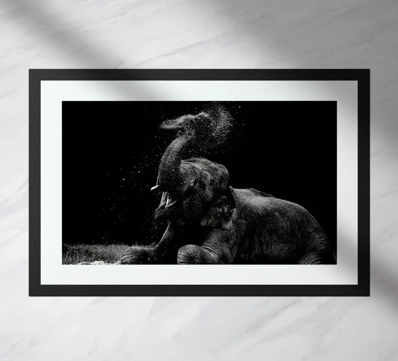 Frolicking Elephant zerbino da Natural Kingdom