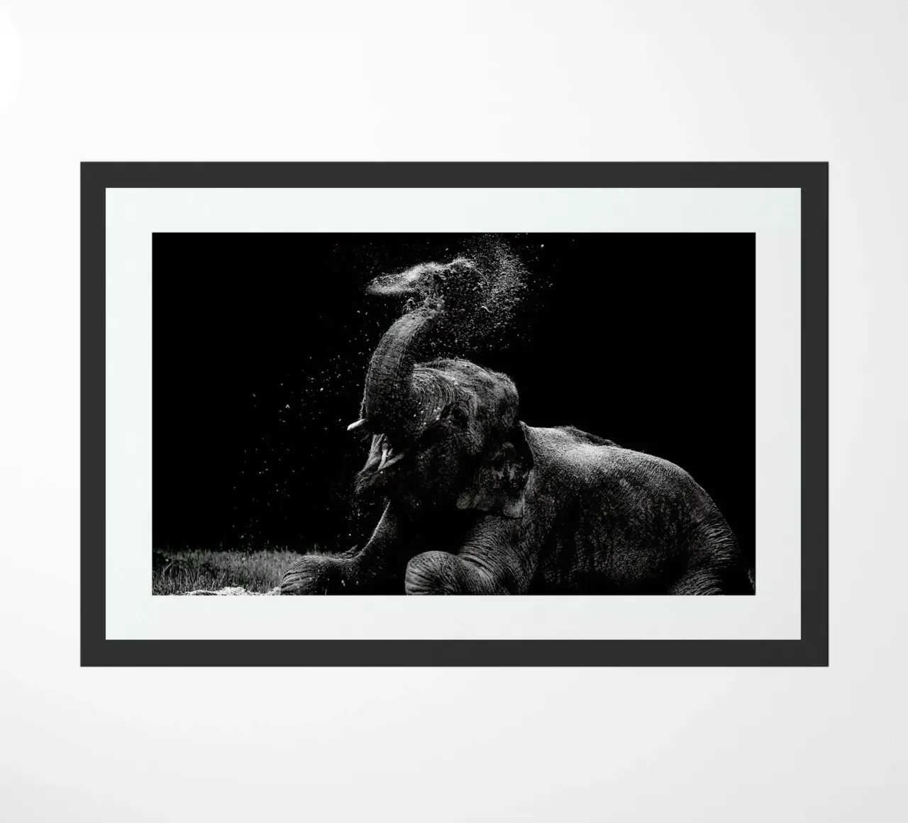 Frolicking Elephant zerbino da Natural Kingdom