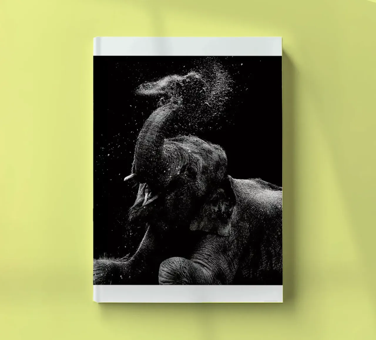 Frolicking Elephant notebook by Natural Kingdom