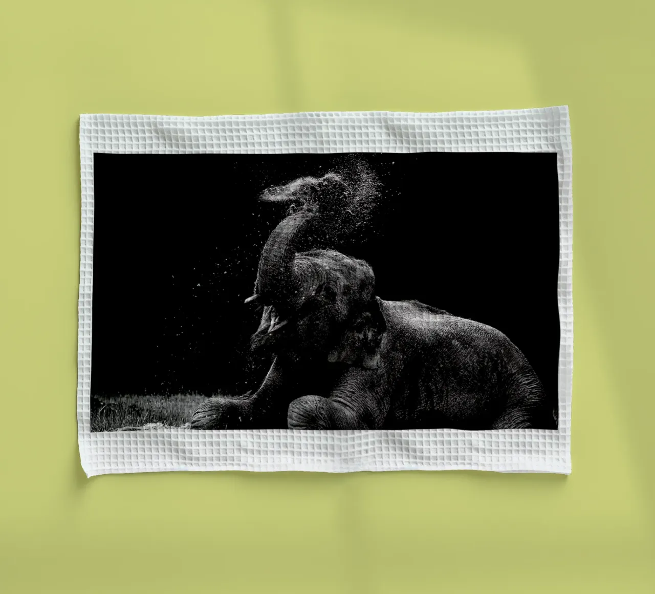 Frolicking Elephant canovaccio da cucina da Natural Kingdom