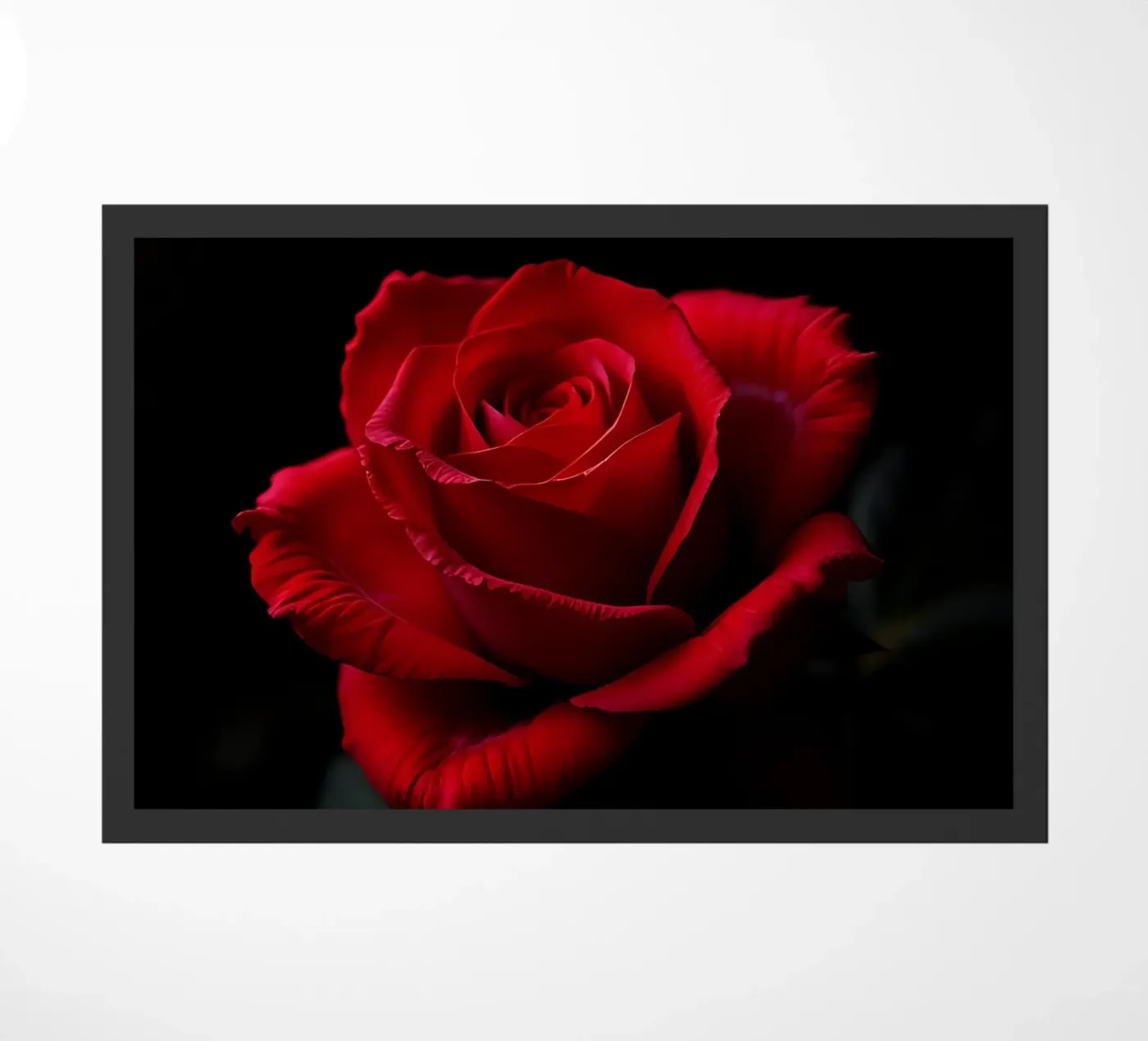 Rosa_rot_02 zerbino da Farb- und Blütenzauber by LK