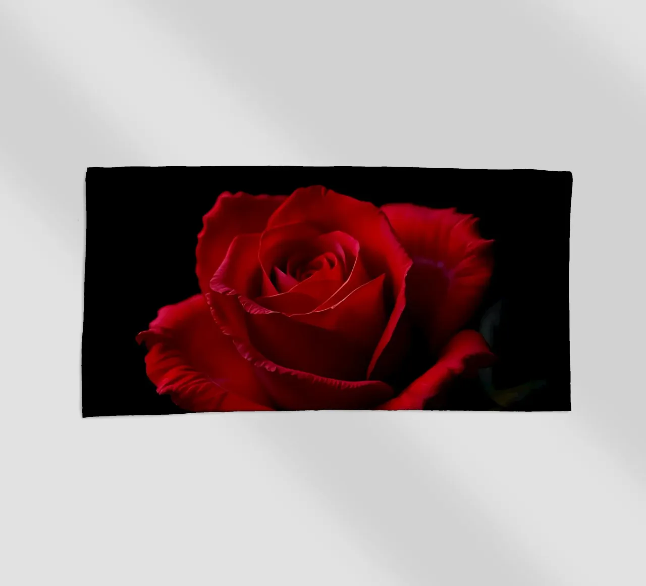Rosa_rot_02 telo mare da Farb- und Blütenzauber by LK