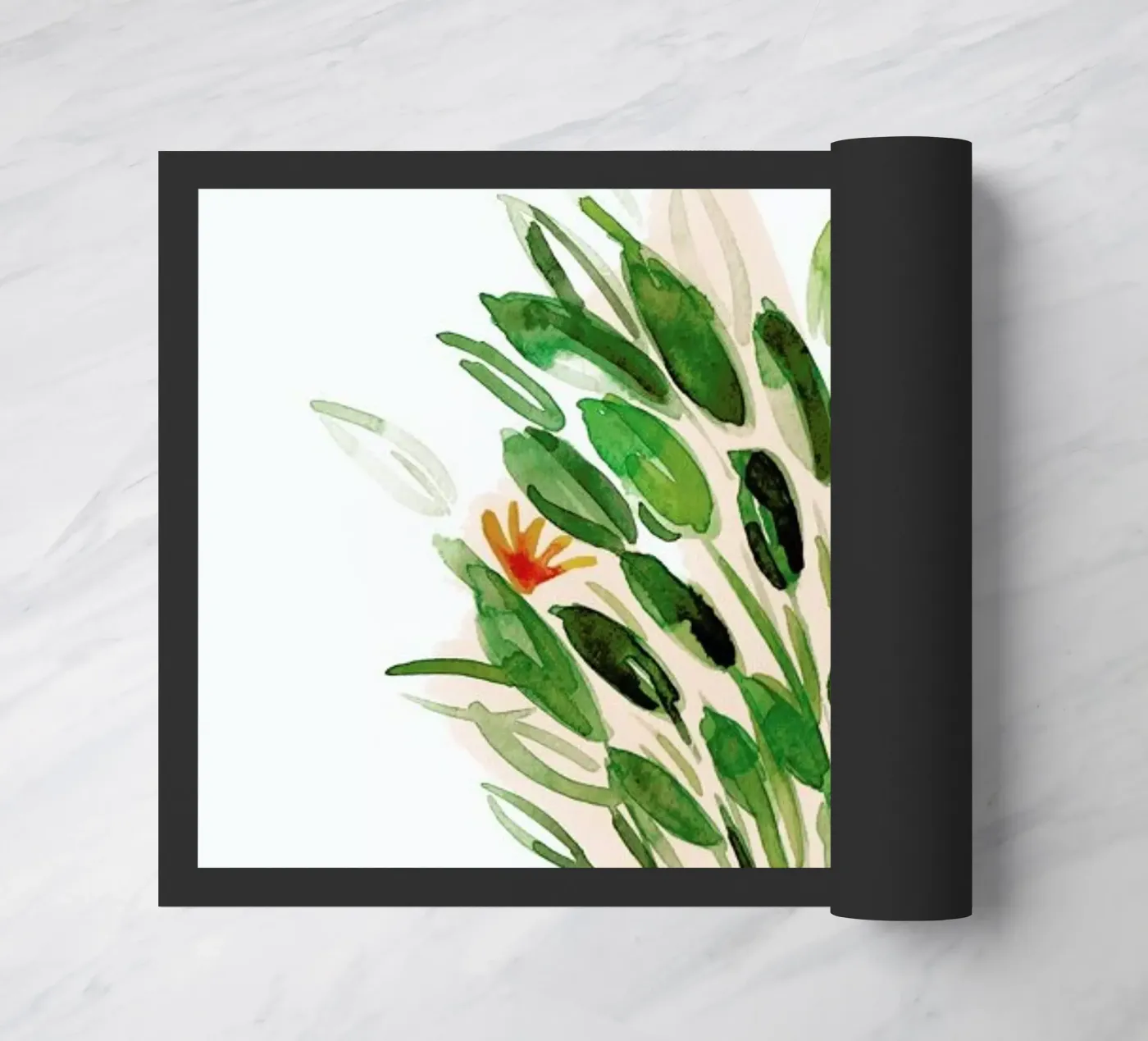 Plants 06 zerbino da Farina Kuklinski