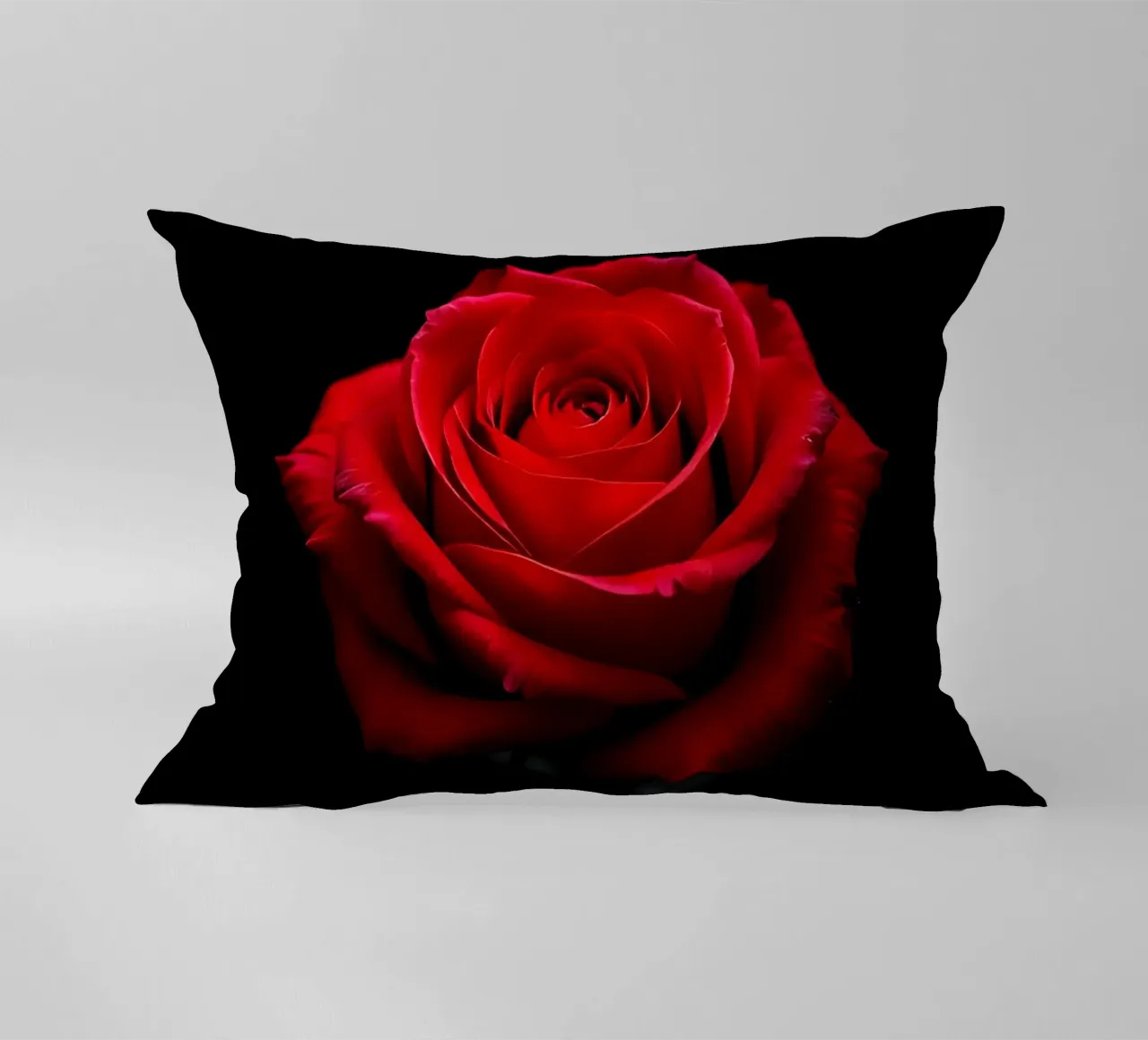 Rosa_rot_05 cuscino da Farb- und Blütenzauber by LK