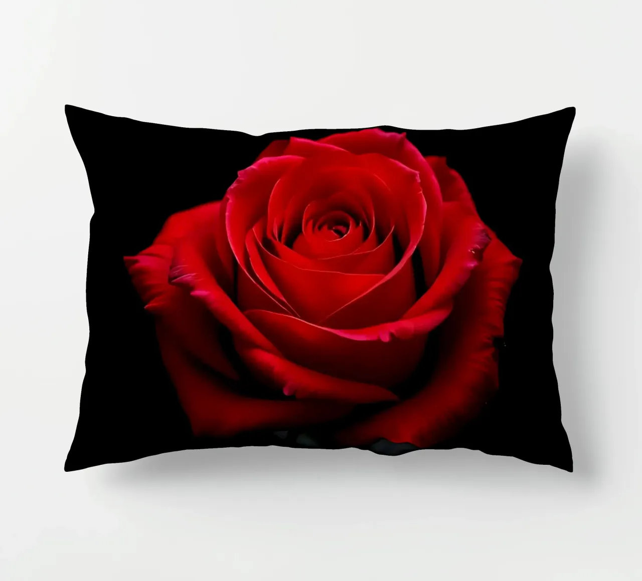 Rosa_rot_05 cuscino da Farb- und Blütenzauber by LK