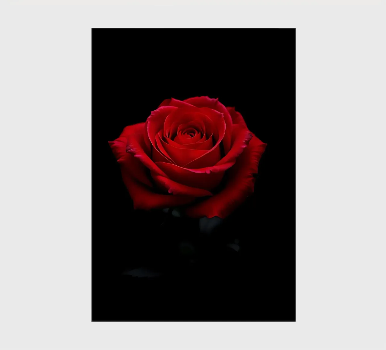 Rose_rot_05 notebook by Farb- und Blütenzauber by LK
