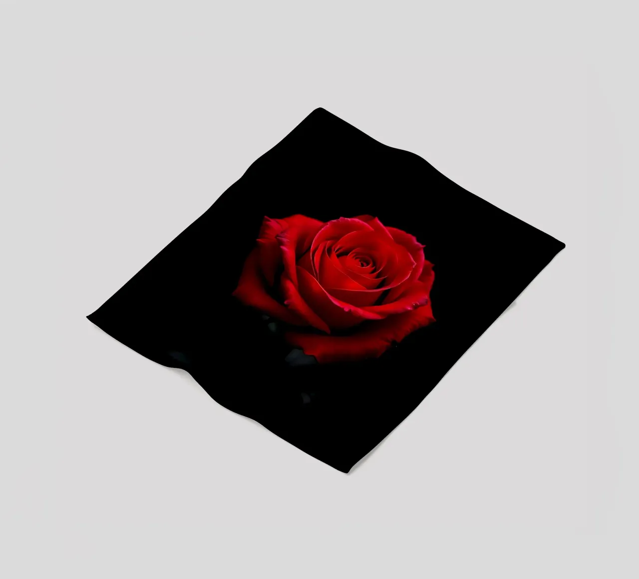 Rosa_rot_05 coperta in pile da Farb- und Blütenzauber by LK