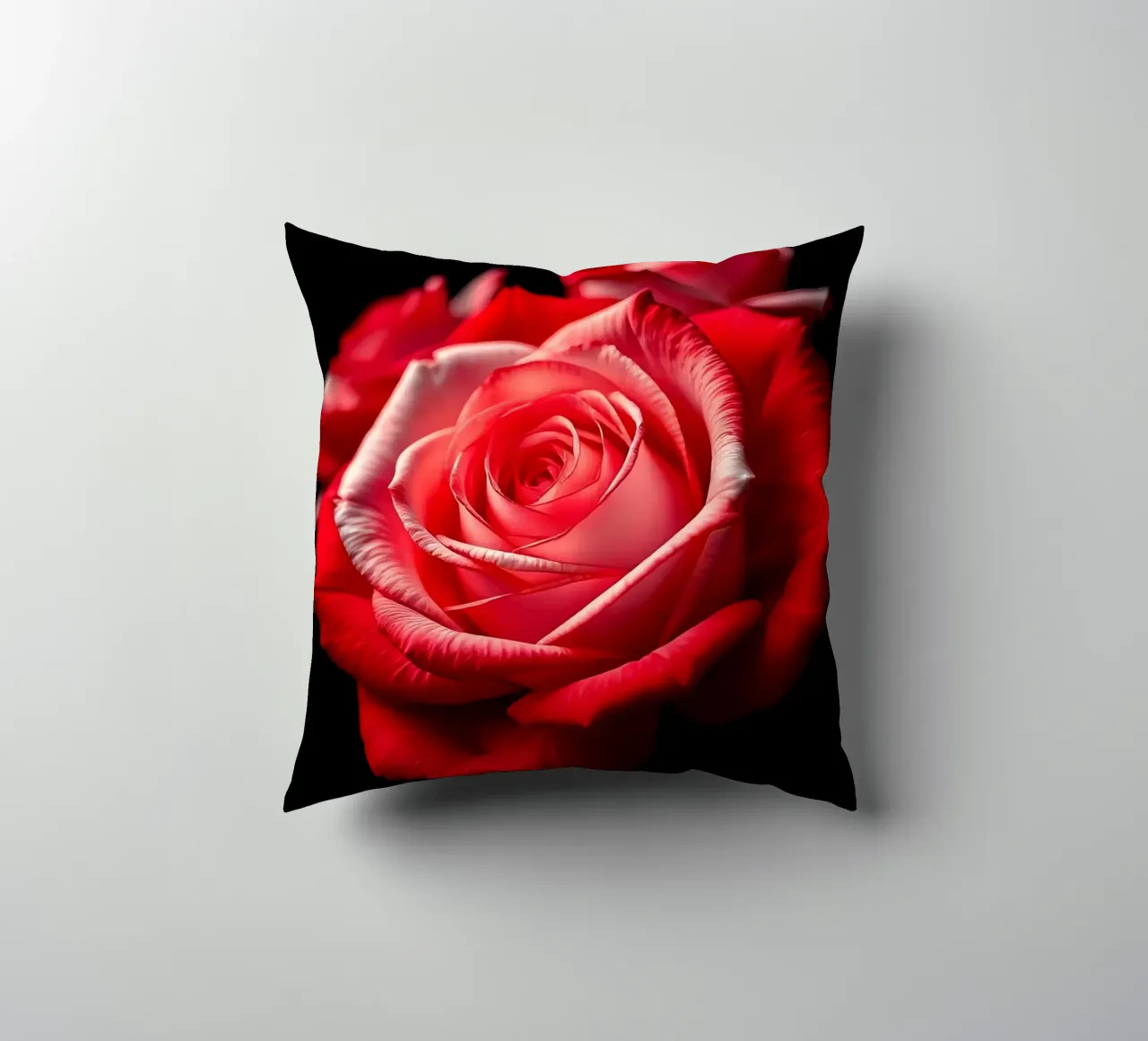 Rosa_rossa_bianca_01 cuscino da Farb- und Blütenzauber by LK