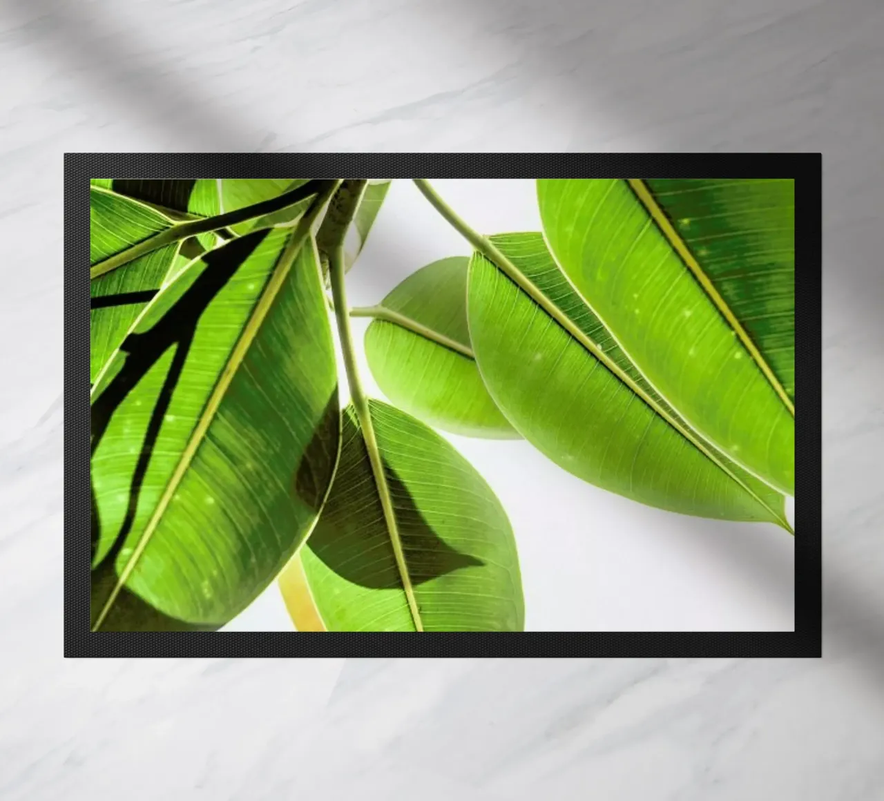 Lime Light zerbino da Shot By Clint