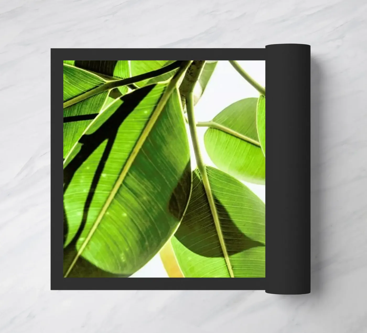Lime Light doormat by Shot By Clint