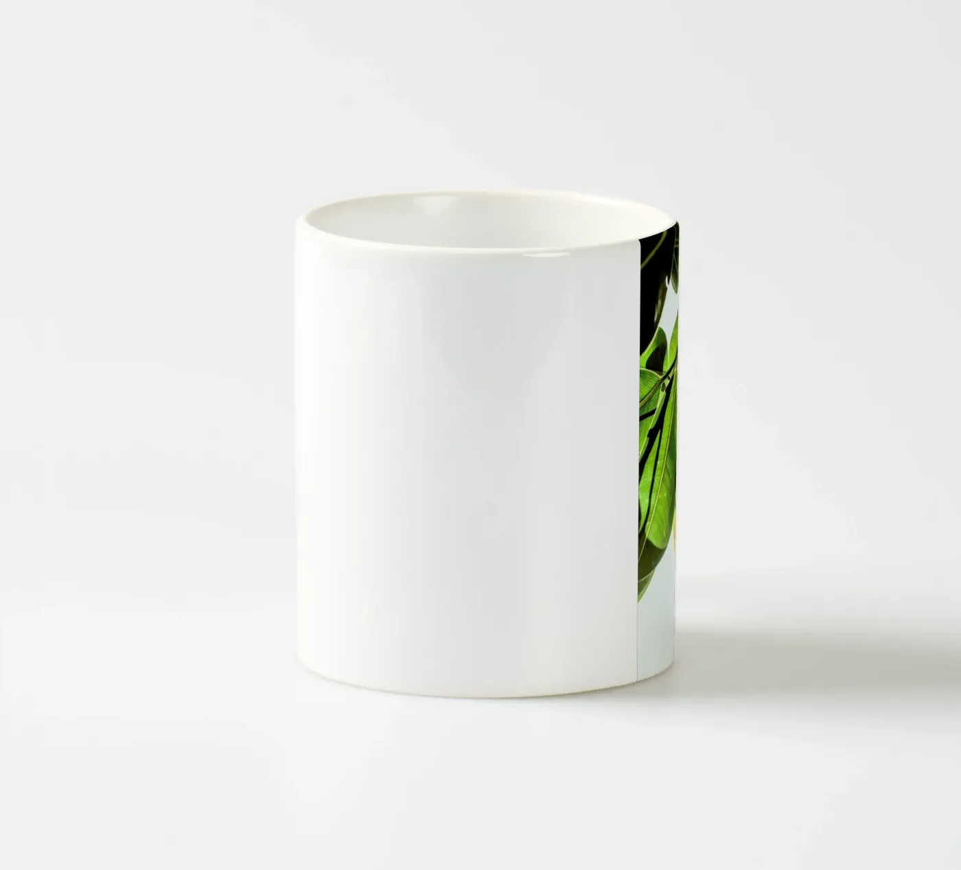 Lime Light ceramic mug by Shot By Clint