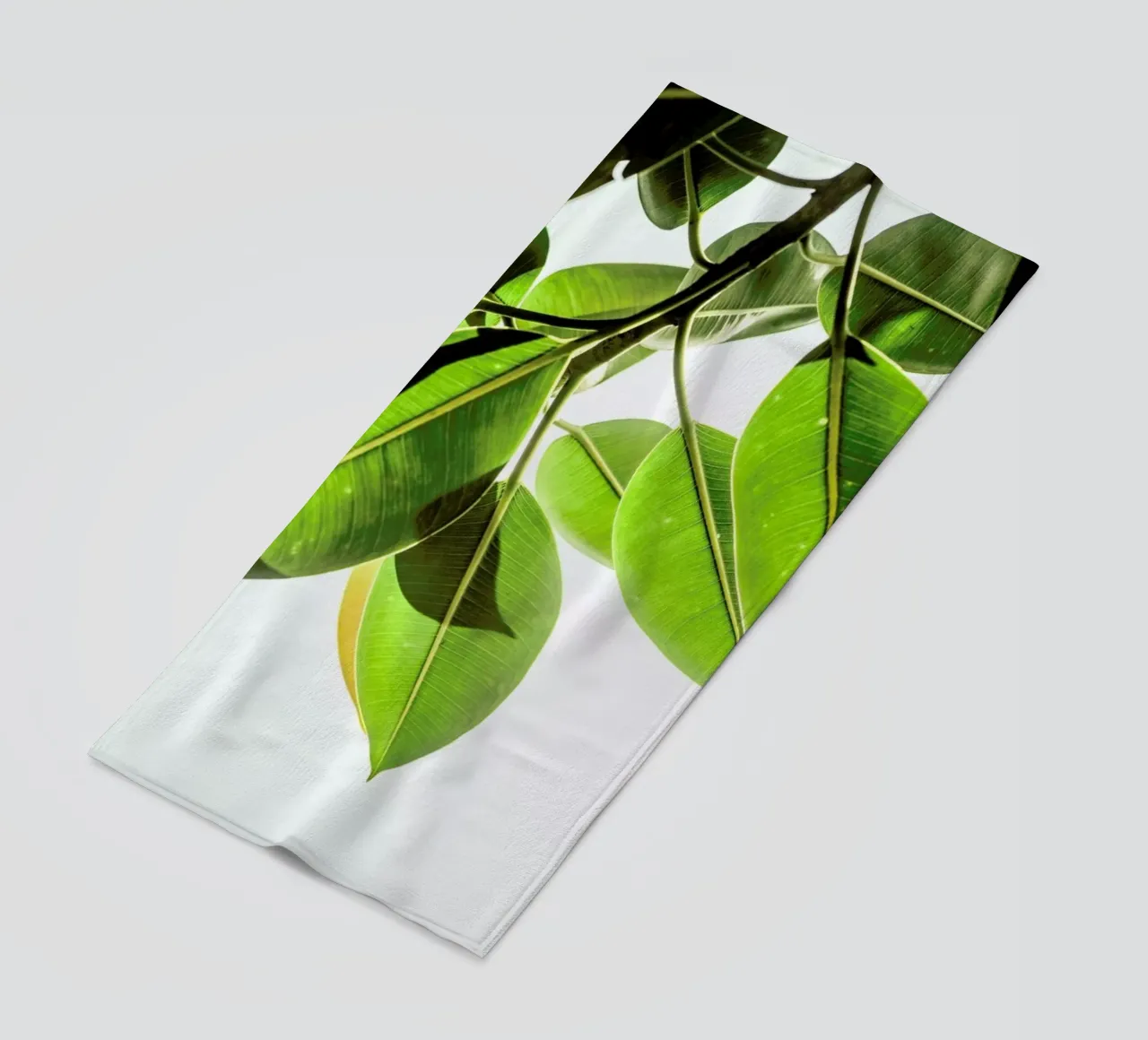 Lime Light telo mare da Shot By Clint