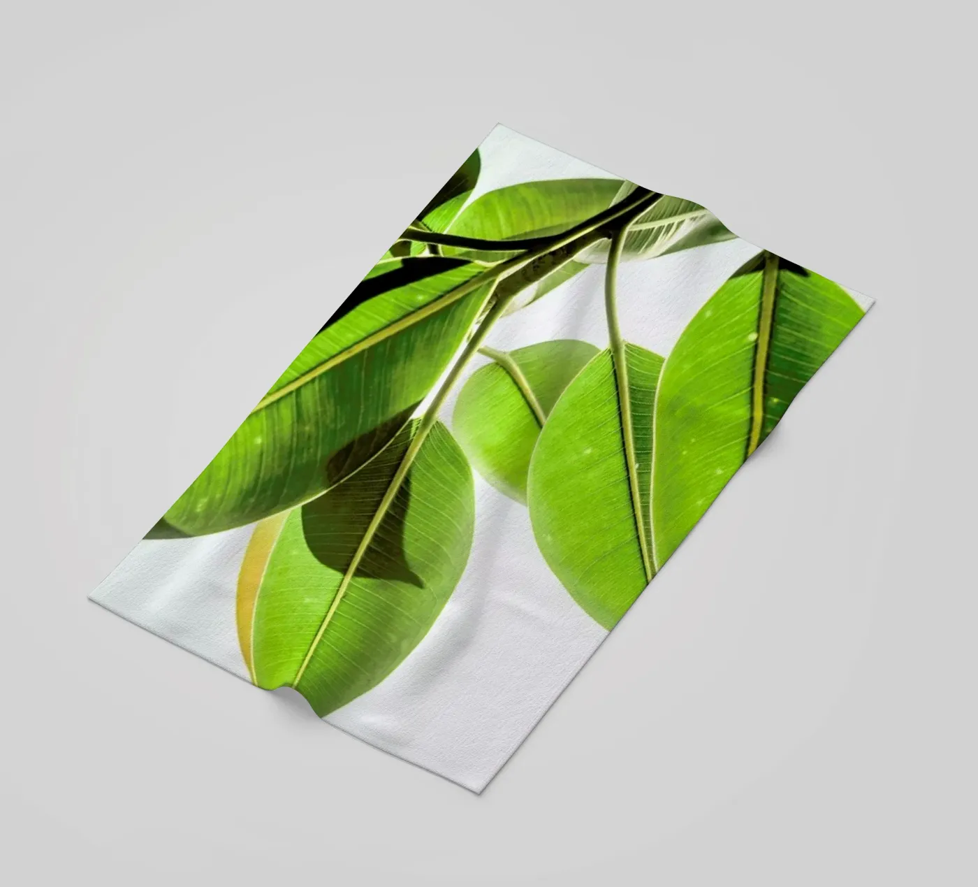 Lime Light telo mare da Shot By Clint