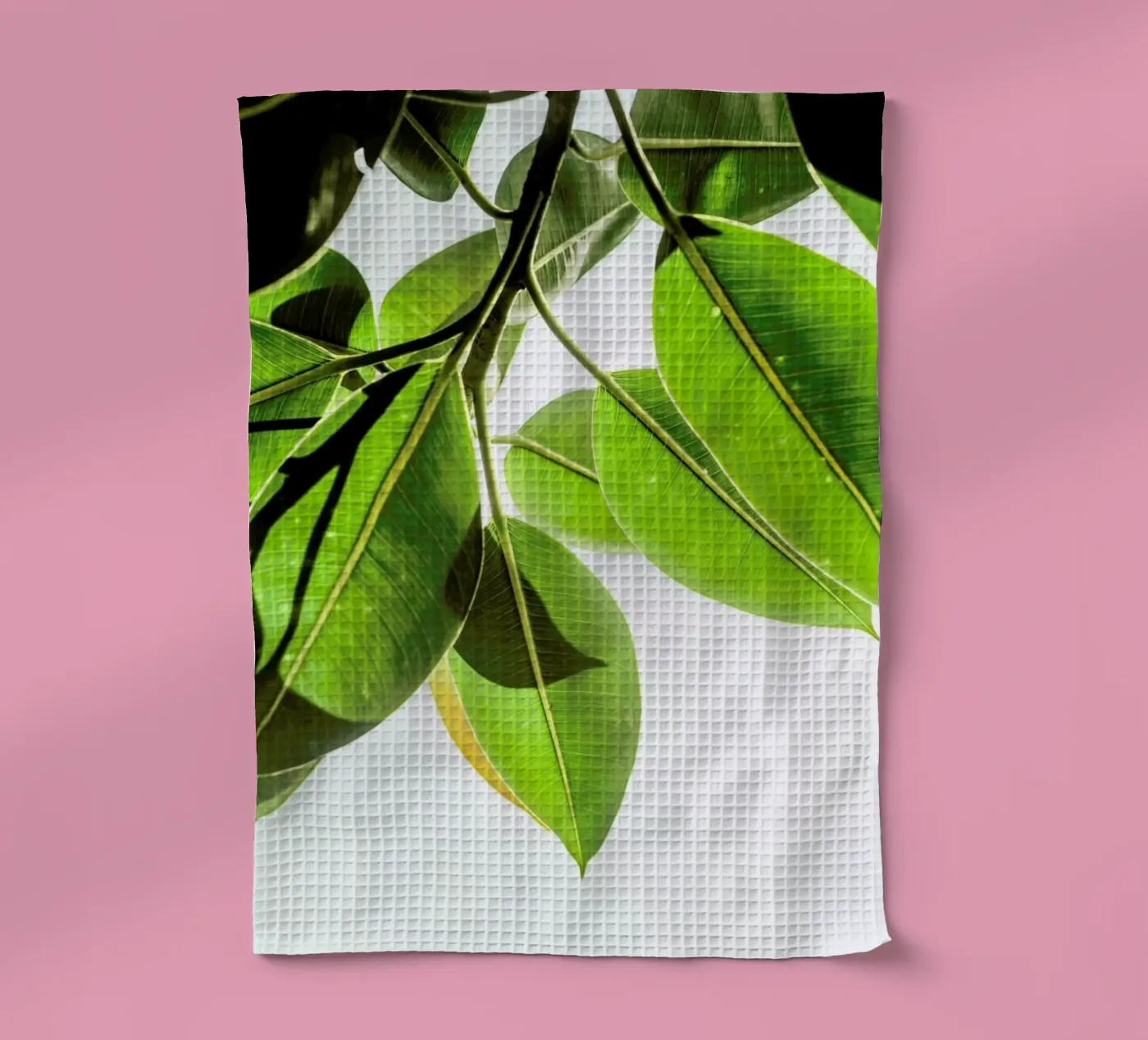 Lime Light torchon de Shot By Clint