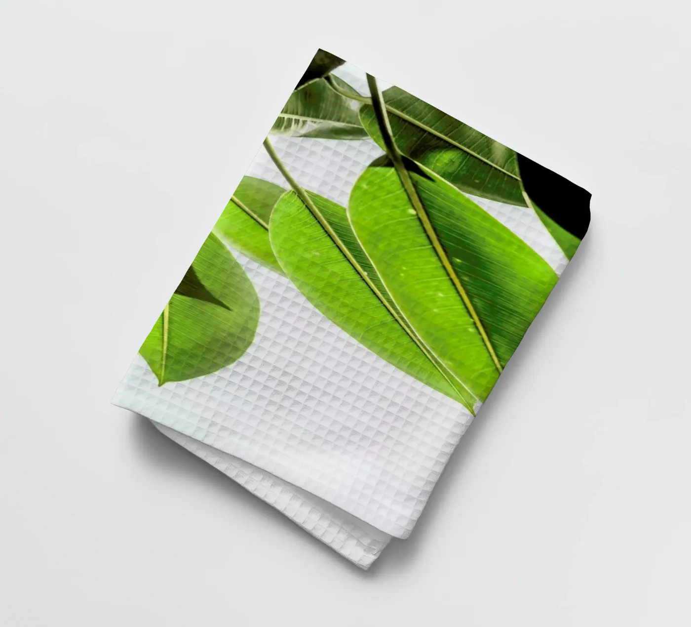 Lime Light torchon de Shot By Clint