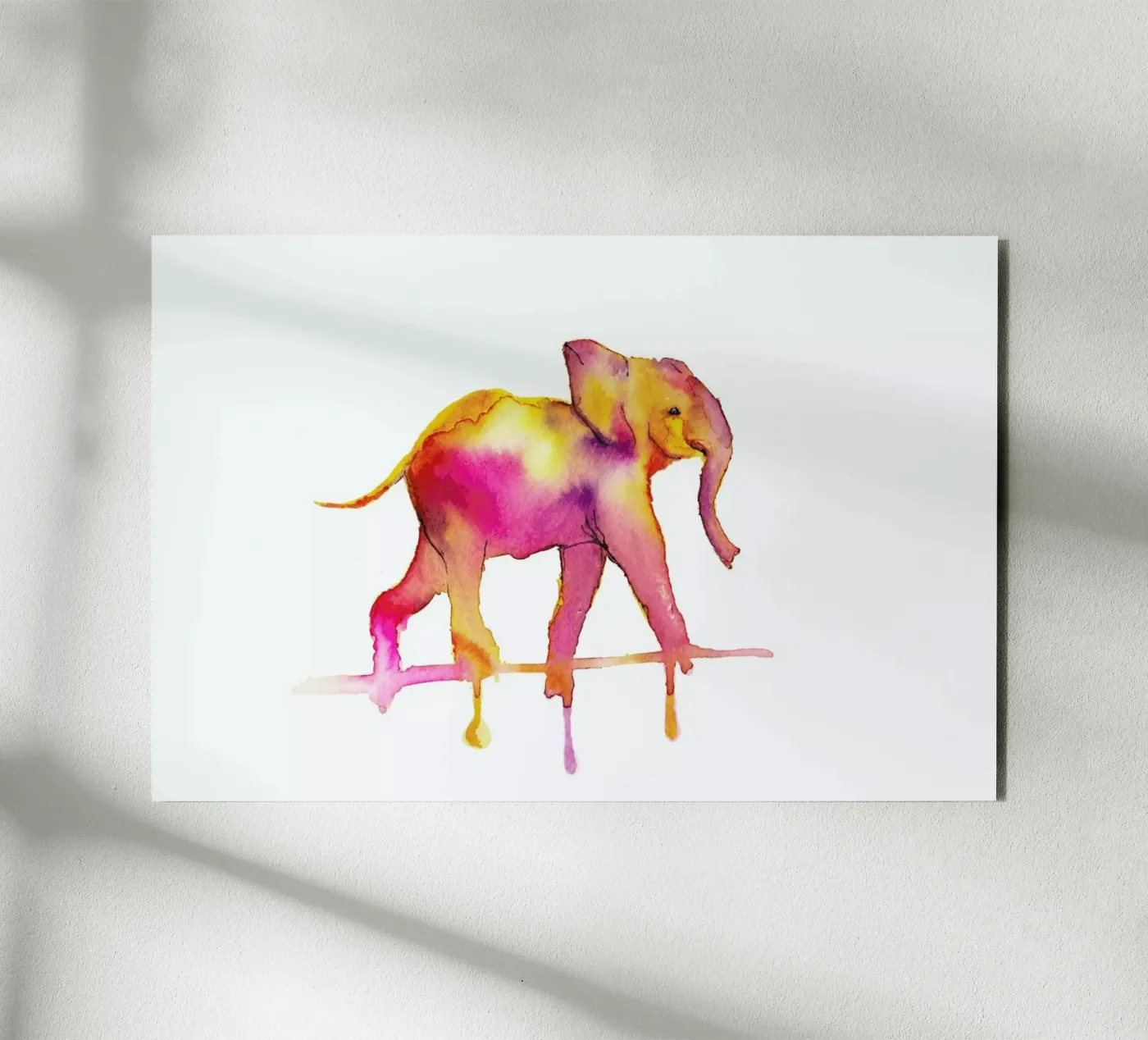 Elephant pannello forex da Larissa van der Laan