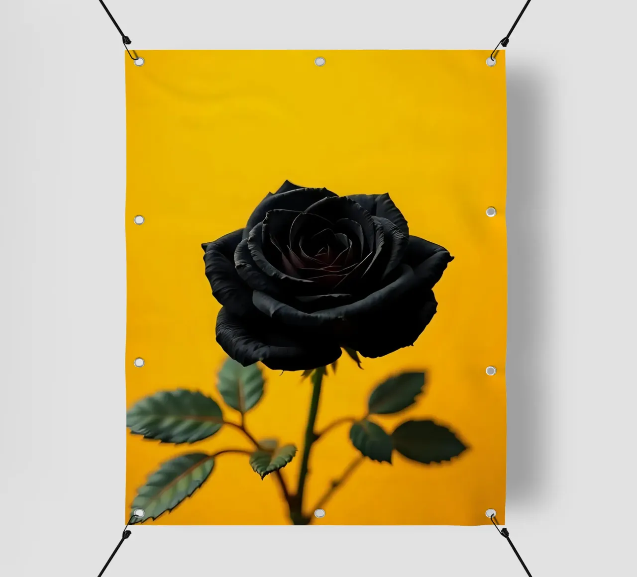 Rosa_nera_04 telo in pvc da Farb- und Blütenzauber by LK